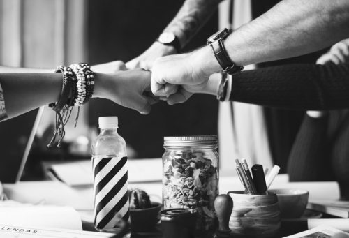 Team Training Consulting
